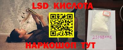 прущие грибы Ставрополь
