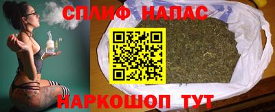 прущие грибы Ставрополь