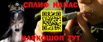 прущие грибы Ставрополь