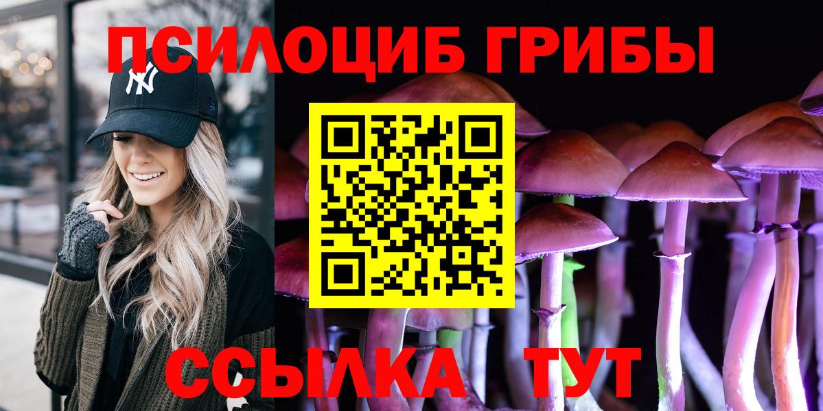 Галлюциногенные грибы прущие грибы Богородск