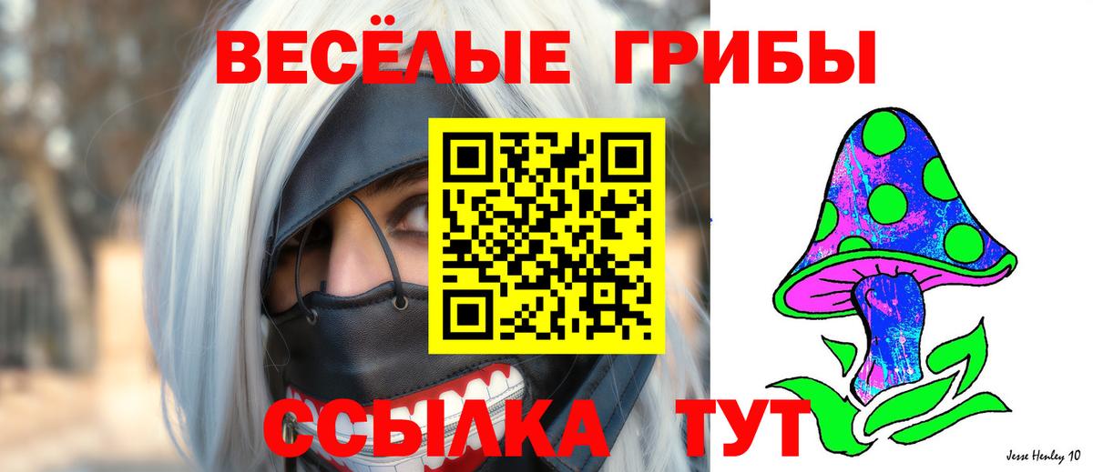 Галлюциногенные грибы Cubensis  Галлюциногенные грибы ЛСД  Вход с VPN  продажа наркотиков  Богородск 